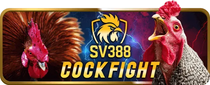 Chiến lược chơi sòng bạc trực tiếp tại winmax1 casino